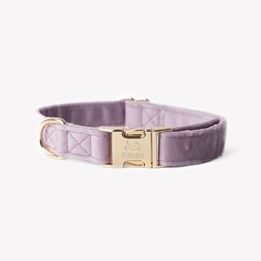 'Lilac' - Velvet Dog Collar