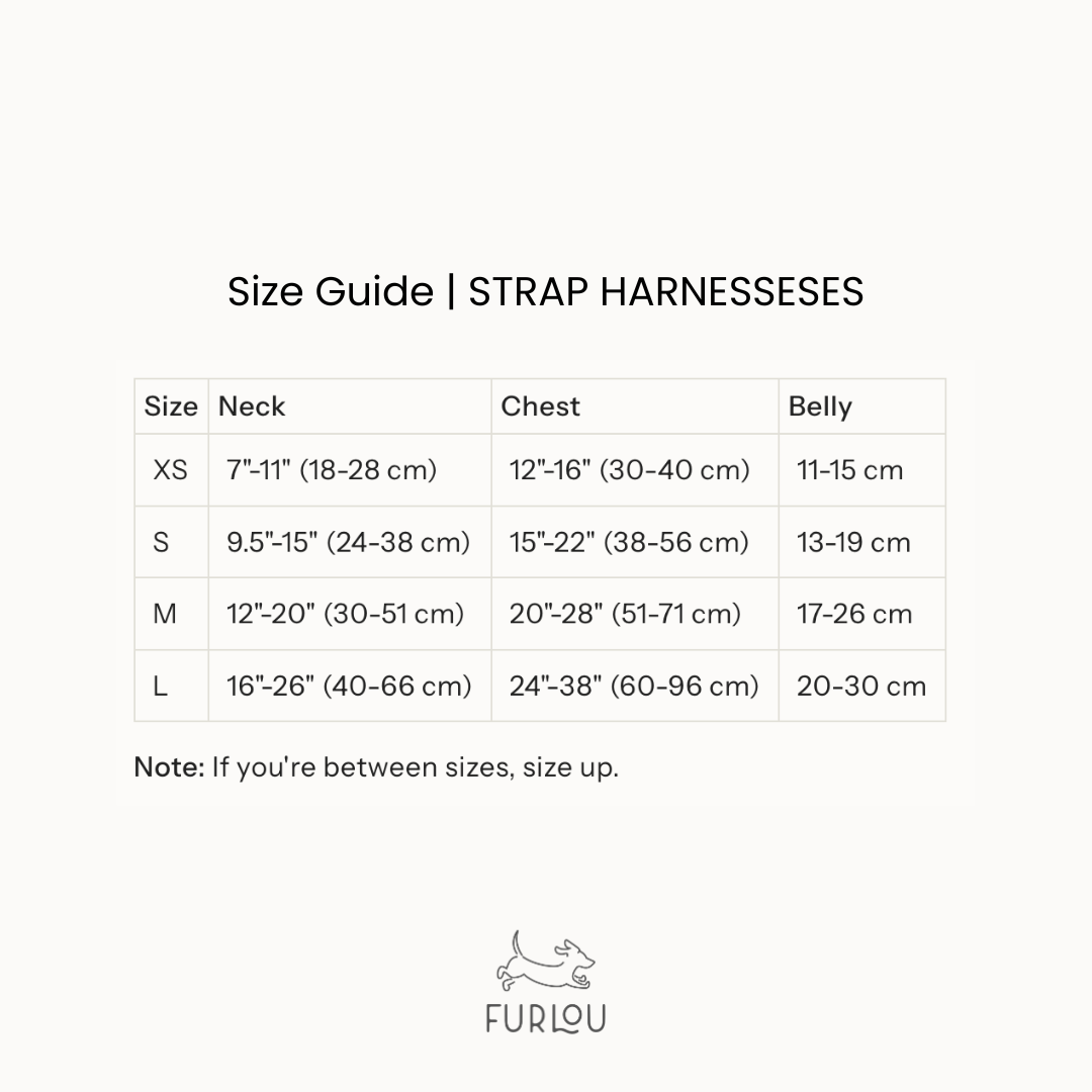 Blue and Green - Dog Harness