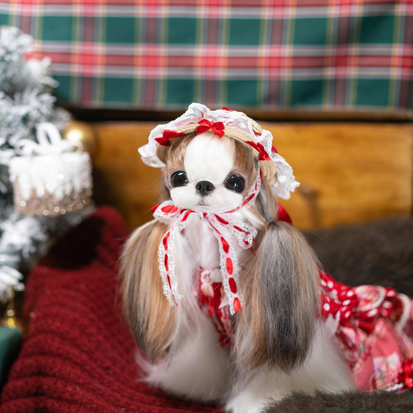 strawberry princess dog dress