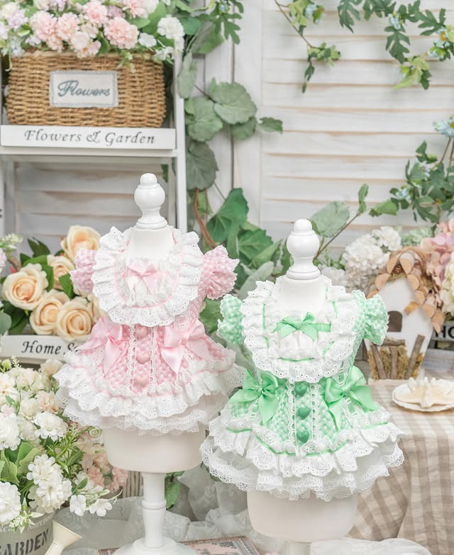 Luxury design dog Lacy Princess Puff Dress