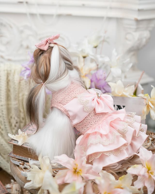 Luxury design high quality dog dress lace big bow