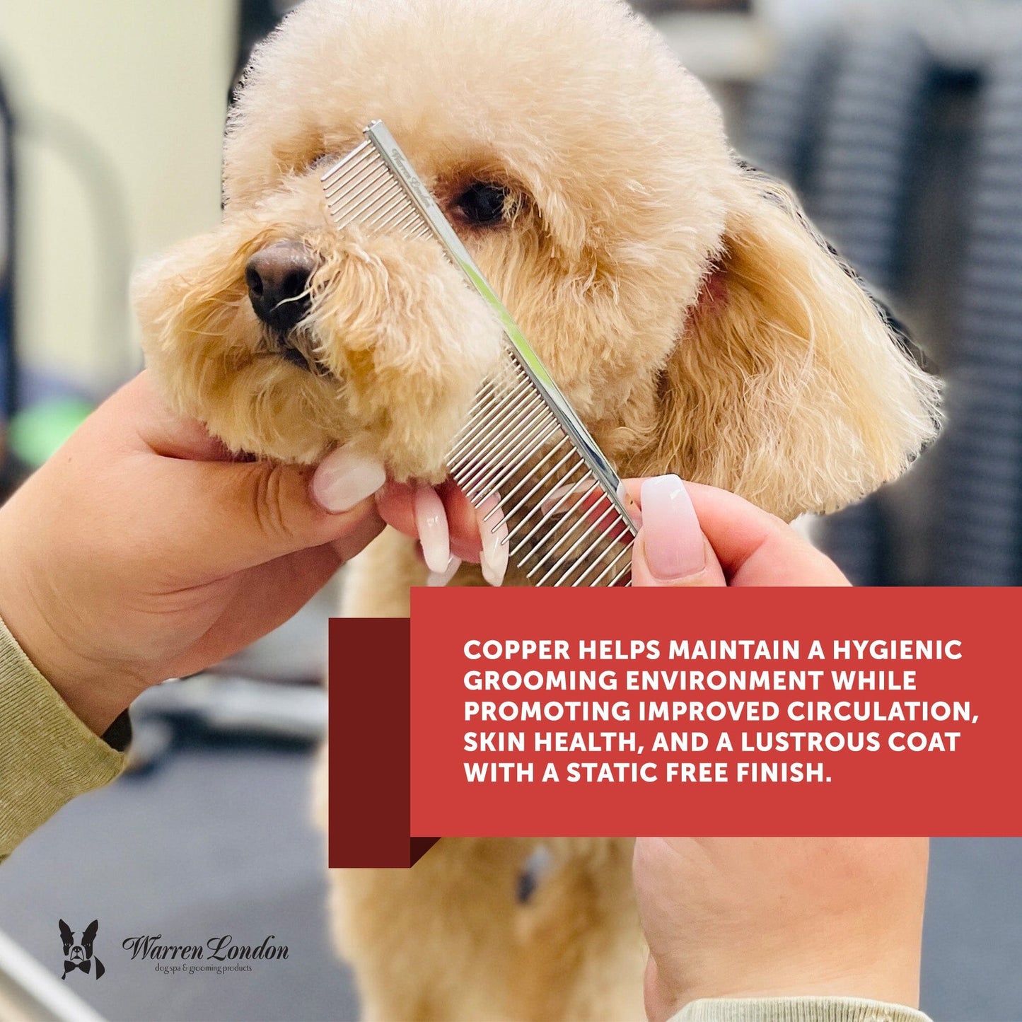 Crescent Detail Comb