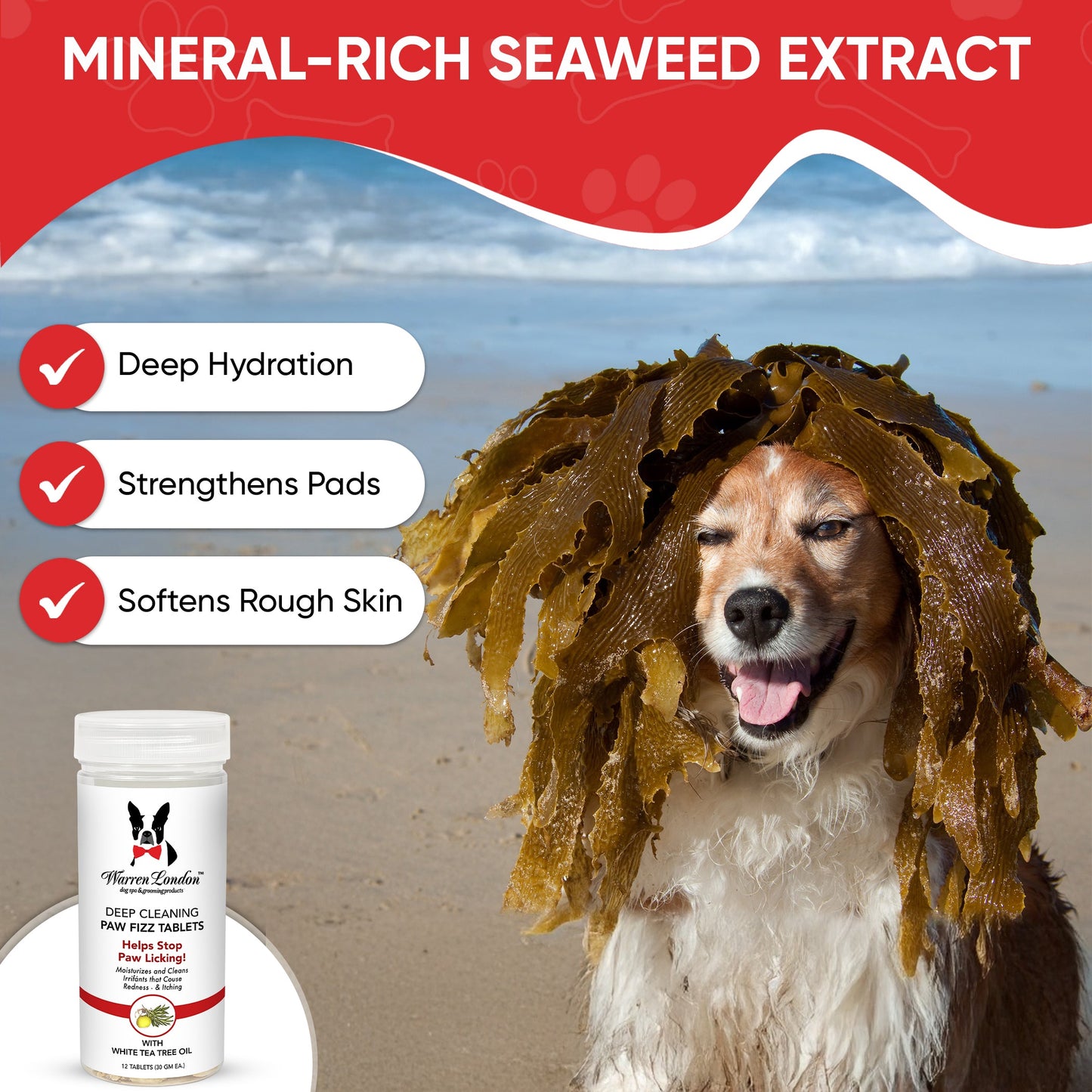 Deep Cleaning Paw Fizz Balls - Professional Size