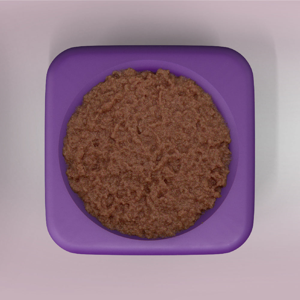 Freezbox - Super Tough Treat Toy