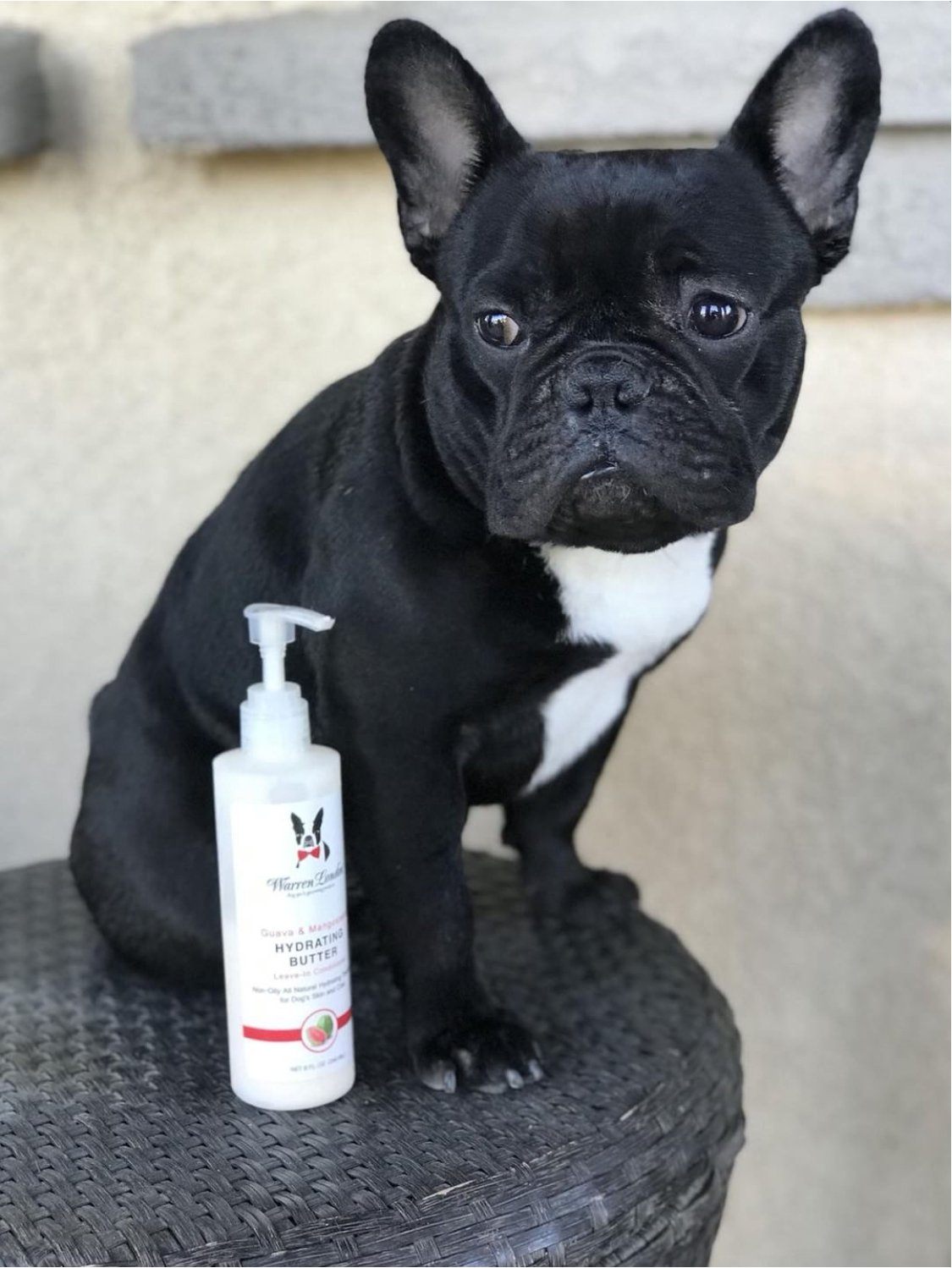 Hydrating Butter - For Dog's Skin & Coat - Leave-In Moisturizer