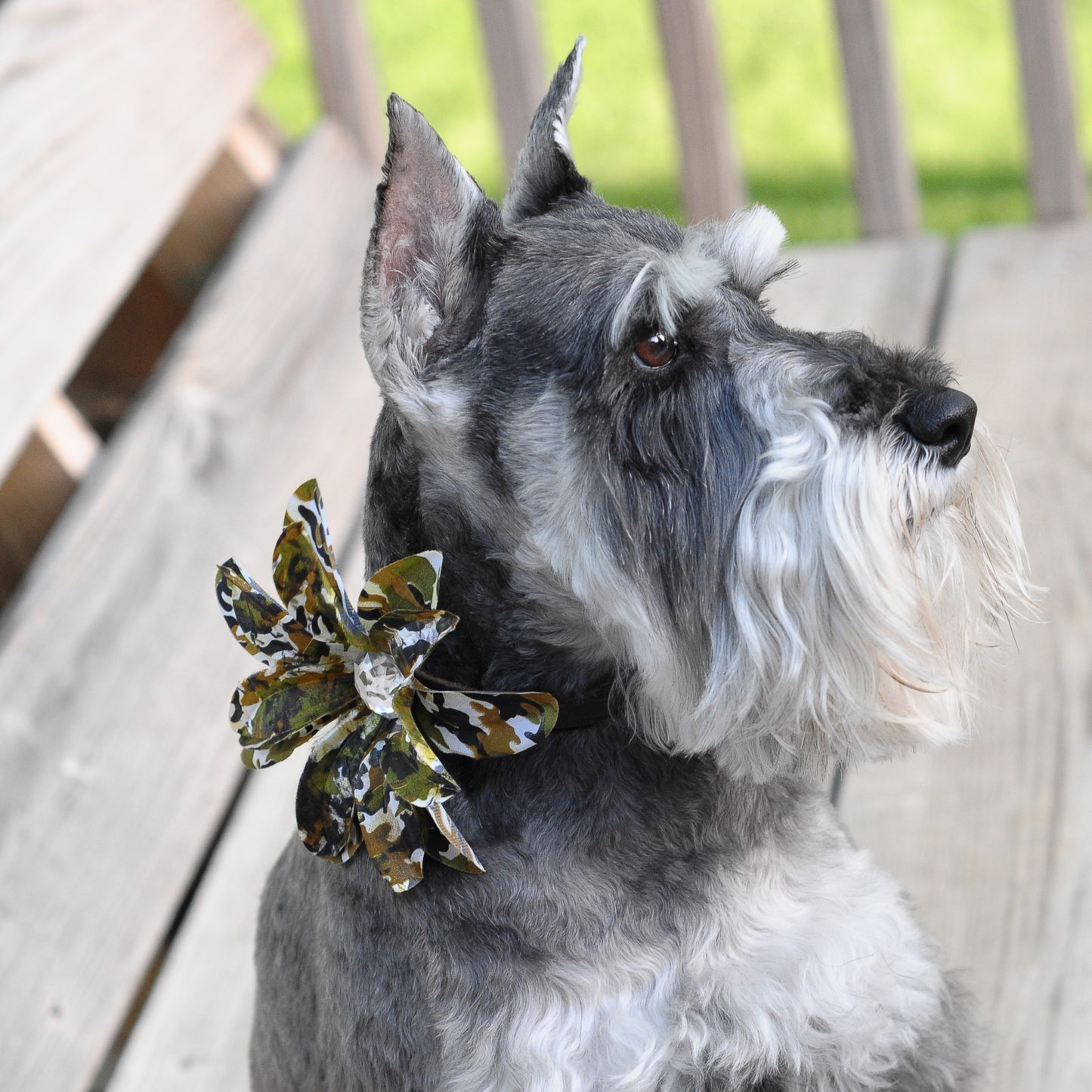 Lily Dog Collar Bloom Pack