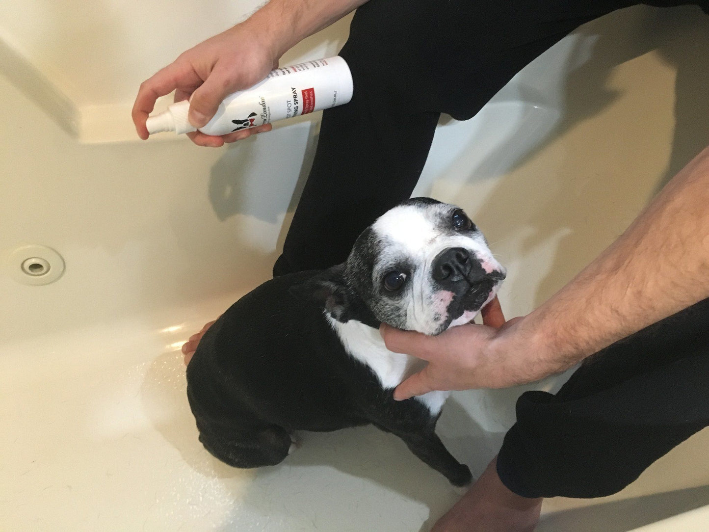 Hot Spot Soothing Spray - Anti Itch Spray That Soothes And Cools